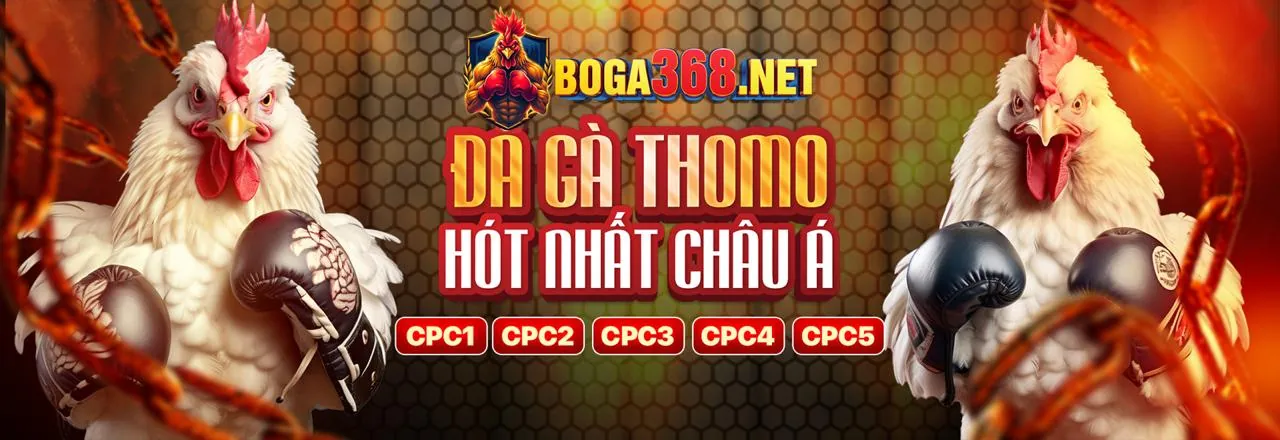 Sân vận động thể thao sôi động với cá cược trực tuyến fly888 link mới